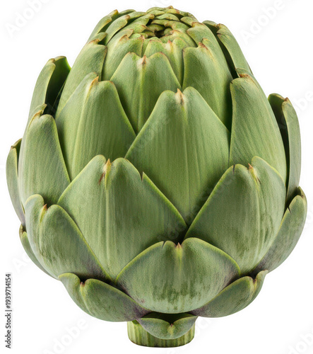 artichoke plant png fresh artichoke vegetable png organic vegetable png transparent background image