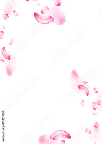 vector flower border png	
