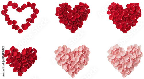 rose petals background png red rose petals png romantic flower petals png transparent background image