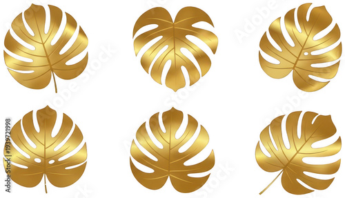 golden tropical leaf png palm leaf png jungle foliage png exotic plant leaf png transparent background image