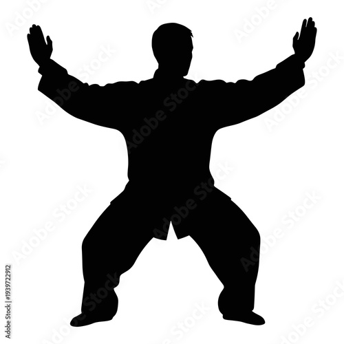 Martial arts vector illustration silhouette depicting a traditional Tai Chi pose