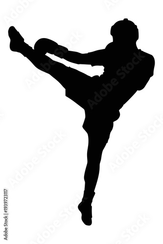 Dynamic vector illustration of a person performing a high kick movement
