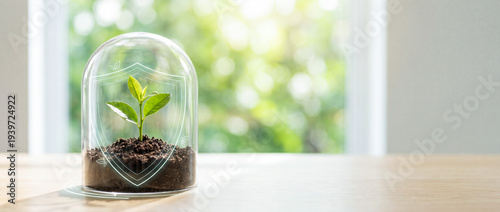 Young green plant growing in soil under a transparent glass dome with a protective shield symbol, representing environmental protection, sustainability and safeguarding nature.