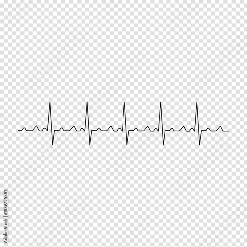 Electrocardiogram showing regular heart rhythm patterns with clear p waves and qrs complexes Vector
