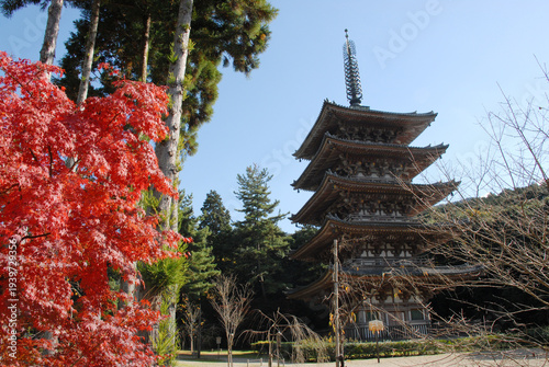 秋の醍醐寺　五重塔　京都市伏見区醍醐東大路町