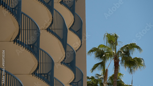 Palm Tree and Curved Balcony Architecture in Little Italy San Diego
