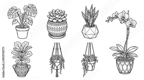 flower pot , realistic line art vector set , white background , PNG and SVG isolate