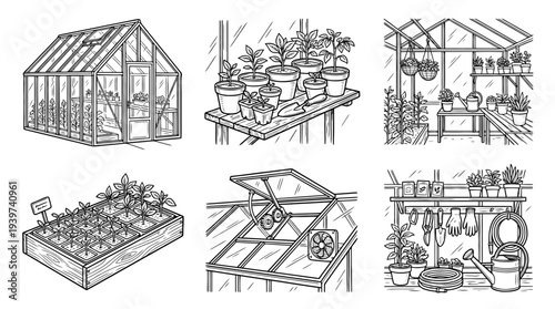 greenhouse , realistic line art vector set , white background , PNG and SVG isolate