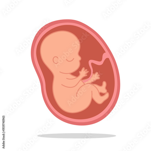 A digital illustration showing a developing fetus in a womb, capturing the essence of life, growth, and the miracle of human development in its early stages.