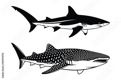 Two Sharks, Great White and Whale Shark Silhouettes
