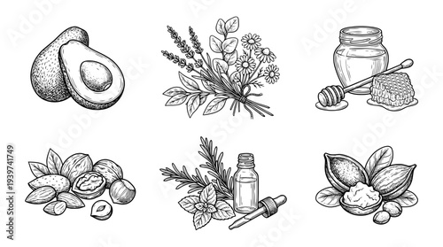 natural product , realistic line art vector set , white background , PNG and SVG isolate
