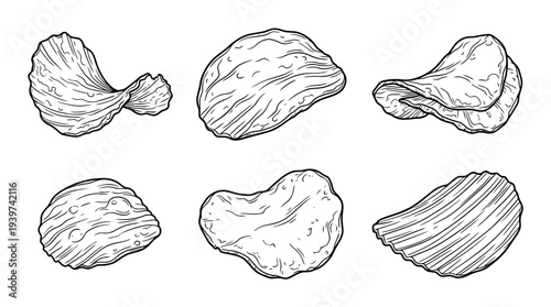 potato chips , realistic line art vector set , white background , PNG and SVG isolate