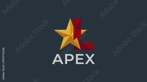 This logo features a contemporary design combining a vibrant star and geometric elements, representing excellence, achievement, and a strong brand presence.