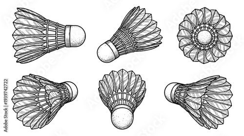 shuttlecock , realistic line art vector set , white background , PNG and SVG isolate