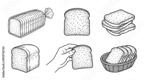 sliced bread , realistic line art vector set , white background , PNG and SVG isolate