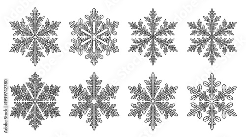 snowflake , realistic line art vector set , white background , PNG and SVG isolate