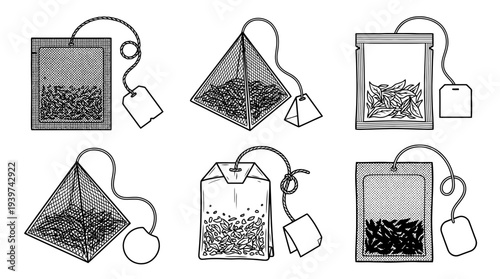tea bag , realistic line art vector set , white background , PNG and SVG isolate