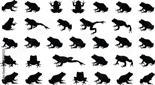 Frog silhouettes collection showing different jumping, sitting and crawling poses, amphibian animal movement set isolated on light background vector illustration