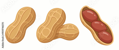 A detailed illustration showcasing peanuts in their shells and out. The arrangement highlights the contrast between the hard shell and the soft, nutritious nut inside.