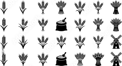 Collection of wheat and grain related illustrations suitable for design and agriculture theme projects
