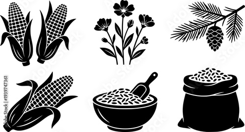 Hand drawn black and white illustrations of snowdrops corn pinecone and other elements for design
