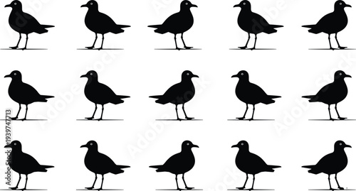 Seagull bird silhouettes collection set, black seabird icons isolated on white background, flying and standing gull shapes for wildlife design, coastal nature illustration