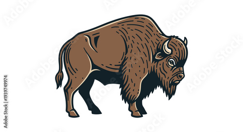 Brown Bison Standing Sideways Profile View.