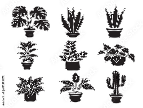 Minimalist black and white potted plant collection