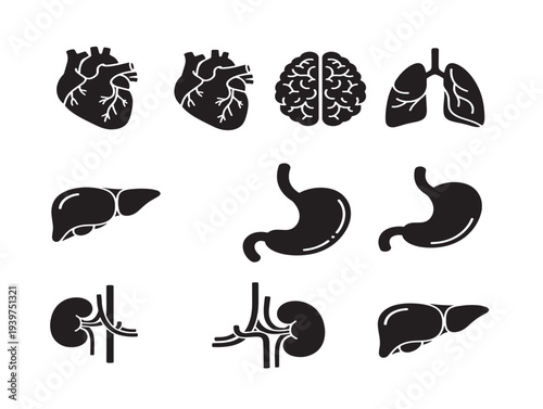 Minimalist black and white human organ illustration