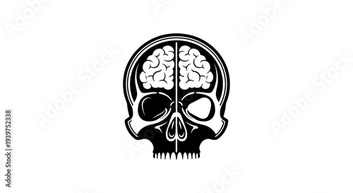skull with brain, human skull