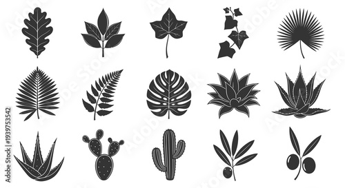 Diverse Botanical Leaves and Succulent Plant Icons