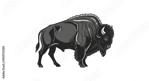 Large bison standing on ground.