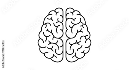 Brain Illustration for Science and Education.