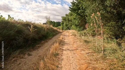 French Way of Saint James - dirt road along the Pisuerga river leaving Itero del Castillo, comarca of Odra-Pisuerga, province of Burgos, Castile and Leon, Spain