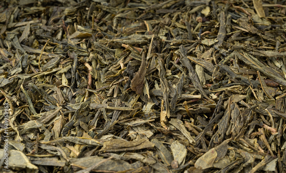 Obraz premium Green tea leaves macro textured background