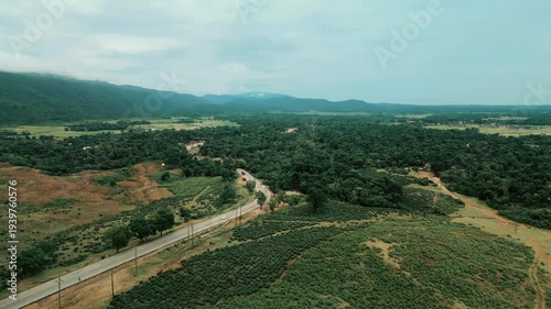 Cinematic drone aerial view of a winding road through lush tea gardens and forest hills in Jaflong, Sylhet, Bangladesh. Peaceful countryside landscape with clouds gathering