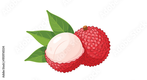 Detailed illustration of a fresh red lychee fruit whole and half peeled showing juicy white flesh and leaves.