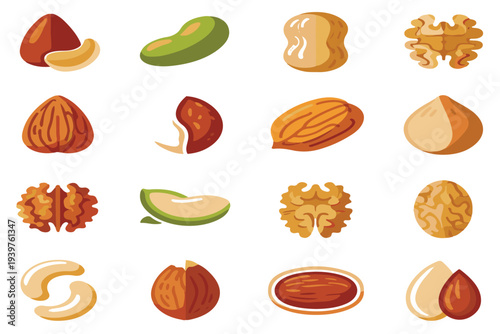 Various stylized illustrations of different types of nuts and seeds including halves and whole kernels presented clearly isolated