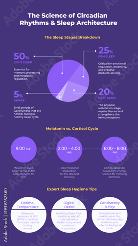 Science of circadian rhythms and sleep architecture infographic. Vertical vector illustration with melatonin cycle, REM stages and health data, Pie Chart.