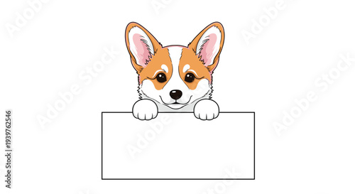 Adorable corgi puppy with large ears and friendly eyes peers over the top of a large blank white rectangular sign against a white background.