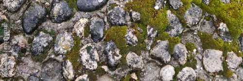 A close-up view of a rocky surface covered with green moss. Various sizes of stones are visible, showcasing natural textures and colors. banner