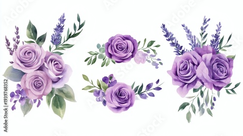 Delicate watercolor arrangement of purple roses and lavender sprigs on white background