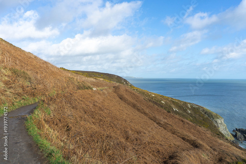 Howth Cliff Walk Trail on a Sunny Morning – Scenic Coastal Path Near Dublin, Ireland