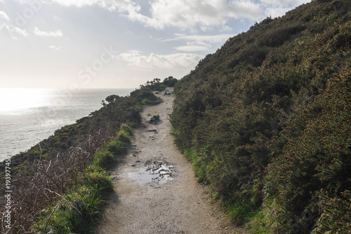Howth Cliff Walk Trail on a Sunny Morning – Scenic Coastal Path Near Dublin, Ireland