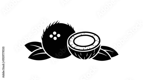 Vector illustration of coconut fruit icon on a transparent background