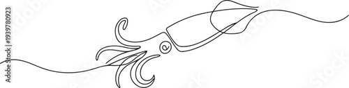 Squid sea animal outline drawing illustration. one continuous line drawing of squid in the sea. one line Icon drawing