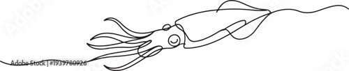 Squid sea animal outline drawing illustration. one continuous line drawing of squid in the sea. one line Icon drawing