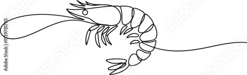 Shrimp illustration in continuous one line drawing. Prawn in one line draw. Editable vector. one line Icon drawing