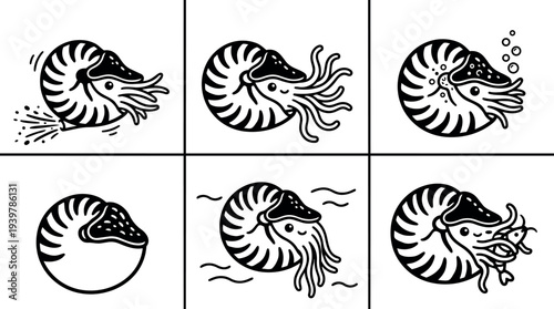 Line art six panel nautilus vector icon set showing playful cephalopod variations with close up head views and simple black nautical motif