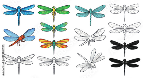 Dragonfly Collection: Colorful Insects, Line Art, Silhouettes